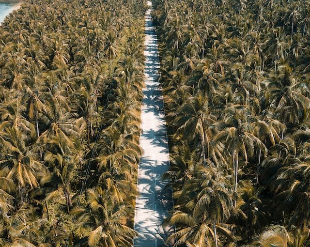 15+ BEST Things To Do In Siargao Island 2024 🏝 Travel Guide