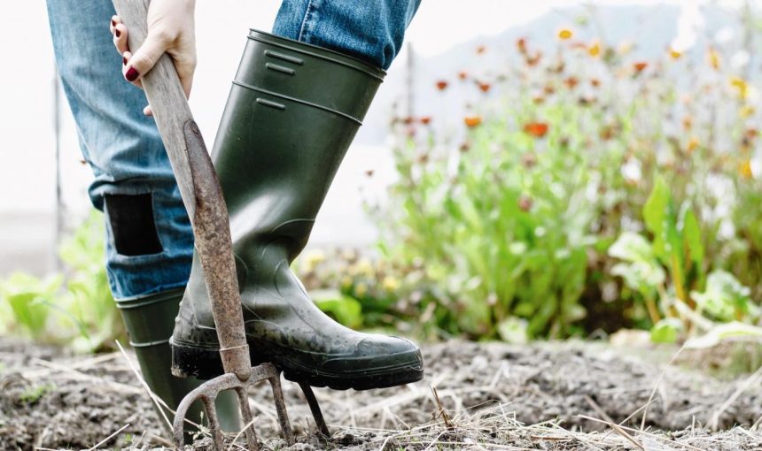 The complete to-do to prepare your garden in the spring