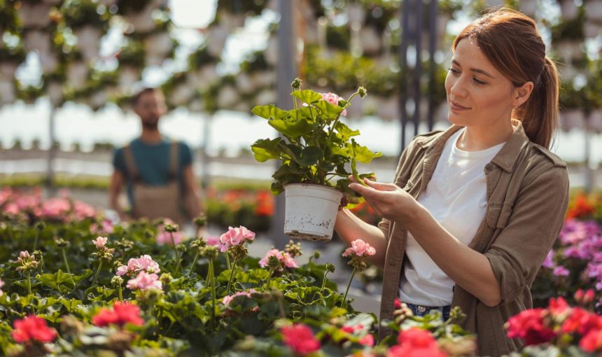 Exclusive offer: up to -25% in 18 nurserymen