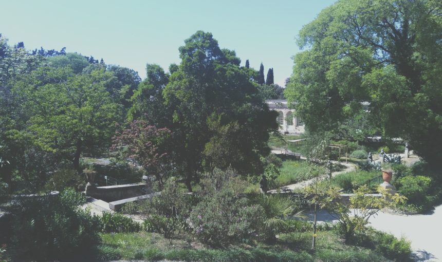 “Go to the garden” … Plants from the University of Montpellier!
