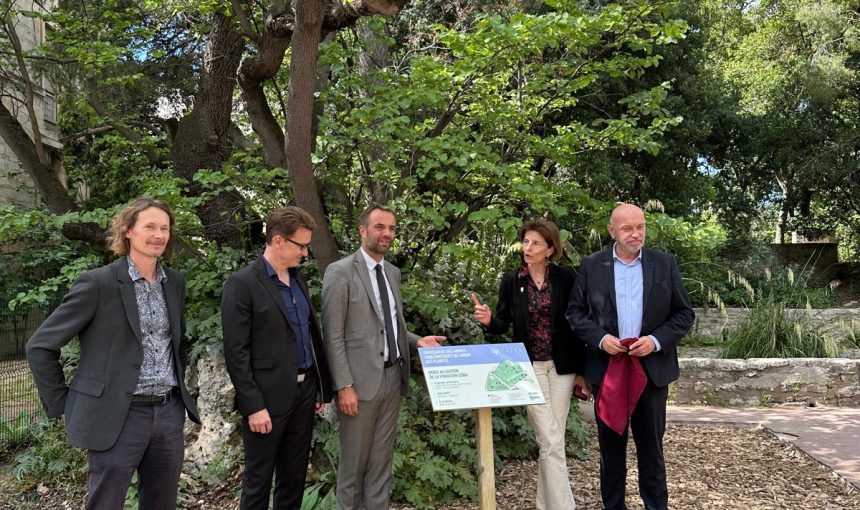 The Ceïba Foundation at the bedside of remarkable trees from the Montpellier Plants Garden