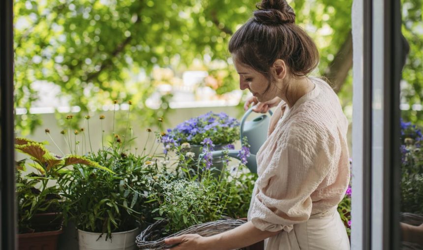 10 scented plants to cultivate at home