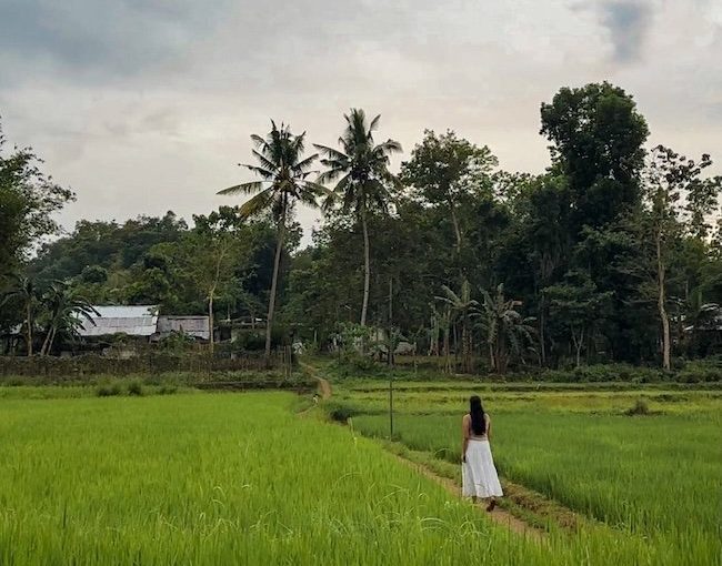 9+ Best Things To Do In Bohol, Philippines 🏝️ Travel Guide